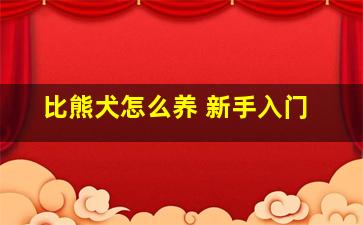 比熊犬怎么养 新手入门